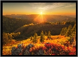 Jesień, Promienie słońca, Góry Ałtaj, Drzewa, Krzewy, Rezerwat Tigirek, Ałtaj, Rosja