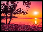 Wschód słońca, Morze, Palmy, Plaża