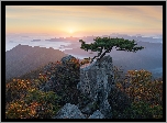 Park Prowincjonalny Daedunsan, Wschód Słońca, Drzewa, Sosny, Góry, Mgła, Prowincja Jeolla Północna, Korea Południowa