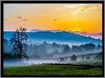 Łąki, Pola, Drzewa, Góry, Wzgórza, Mgła, Wschód, Słońca