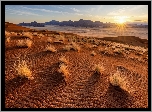 Afryka, Namibia, Pustynia Namib, Wydmy, Trawy, Promienie słońca