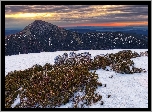 Wschód słońca, Góry, Karkonosze, Góra Śnieżka, Ośnieżone, Rośliny, Śnieg, Zima