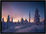 Finlandia, Laponia, Wzgórze Kuertunturi, Zima, Ośnieżone, Drzewa, Zachód słońca
