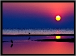 Zachód, Słońca, Plaża