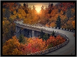 Jesień, Most, Zakręt, Droga, Las, Kolorowe, Drzewa, Wschód słońca