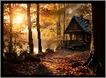 Jesień, Las, Drzewa, Dom, Liście, Staw, Mgła, Słońce