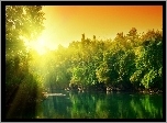 Jezioro, Słońce, Drzewa