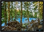 Stany Zjednoczone, Stan Waszyngton, Jezioro Mason Lake, Kamienie, Drzewa, Słońce