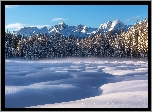 Słowenia, Triglavski Park Narodowy, Góry Alpy Julijskie, Płaskowyż Pokljuka, Torfowisko Barje Šijec, Zima, Drzewa, Las