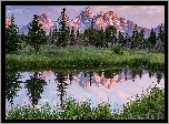Drzewa, Góry, Teton Range, Rzeka, Snake River, Odbicie, Trawa, Lato, Park Narodowy Grand Teton, Stan Wyoming, Stany Zjednoczone