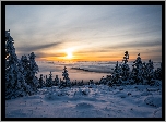 Zima, Zachód słońca, Chmury, Ośnieżone, Drzewa, Pole, Śnieg
