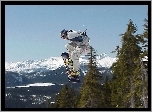 Snowbording,deska ,śnieg, zima , drzewa