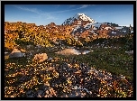 Stany Zjednoczone, Stan Waszyngton, Góry Kaskadowe, Startowulkan Mount Rainier, Kamienie, Drzewa