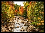Stany Zjednoczone, Stan New Hampshire, Rzeka Pemigewasset River, Kamienie, Las, Jesień