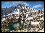 Stany Zjednoczone, Stan Idaho, Hrabstwo Custer, Góry, Jezioro Bench Lake, Roślinność