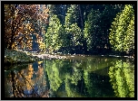 Stany Zjednoczone, Stan Kalifornia, Park Narodowy Yosemite, Rzeka, Las, Odbicie, Drzewa