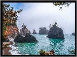 Skały, Morze, Drzewa, Park stanowy, Samuel H Boardman State Scenic Corridor, Oregon, Stany Zjednoczone