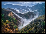 Stany Zjednoczone, Kalifornia, Park stanowy Malibu Creek, Trawy, Góry Santa Monica, Wąwóz, Mgła, Roślinność