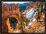 Stany Zjednoczone, Stan Utah, Park Narodowy Bryce Canyon, Kanion, Góry, Drzewa, Łuk Natural Bridge, Skały