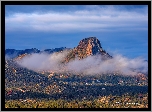 Stany Zjednoczone, Arizona, Prescott, Góra, Thumb Butte, Mgła, Drzewa