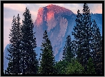 Stany Zjednoczone, Kalifornia, Park Narodowy Yosemite, Góra, Half Dome, Drzewa