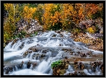 Stany Zjednoczone, Arizona, Strawberry, Fossil Creek, Rzeka, Jesień, Drzewa, Skały