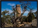 Stany Zjednoczone, Stan Arizona, Park Narodowy Wielkiego Kanionu, Wieża Desert View Watchtower, Niebo, Drzewa, Zarośla
