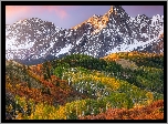 Stany Zjednoczone, Kolorado, Góry, Góra, Mount Sneffels, Jesień, Drzewa, Roślinność