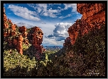 Stany Zjednoczone, Stan Arizona, Sedona, Skały, Formacje skalne, Drzewa