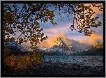 Stany Zjednoczone, Stan Montana, Park Narodowy Glacier, Góry Lewis Range, Szczyt Sinopah Mountain, Jezioro Two Medicine Lake, Gałęzie, Drzewa