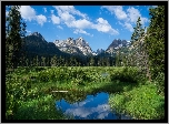 Stany Zjednoczone, Stan Idaho, Góry Sawtooth Range, Szczyt Horstmann Peak, Drzewa, Rozlewiska, Trawa