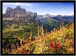 Stany Zjednoczone, Montana, Park Narodowy Glacier, Góry, Dolina, Łąka, Kwiaty