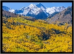 Stany Zjednoczone, Kolorado, Góry, Capitol Peak, Las, Drzewa, Jesień