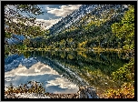 Stany Zjednoczone, Stan Montana, Park Narodowy Glacier, Góry, Jezioro Pray Lake, Świerki, Odbicie