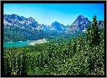 Stany Zjednoczone, Stan Montana, Park Narodowy Glacier, Góry, Jezioro Saint Mary Lake, Drzewa