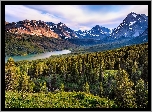 Stany Zjednoczone, Stan Montana, Park Narodowy Glacier, Góry, Jezioro Two Medicine Lake, Drzewa