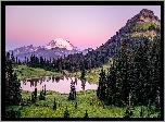 Stany Zjednoczone, Stan Waszyngton, Park Narodowy Mount Rainier, Stratowulkan Mount Rainier, Łąka, Trawa, Staw, Drzewa, Świerki, Góry