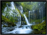 Stany Zjednoczone, Stan Waszyngton, Drzewa, Wodospad, Panther Creek Falls, Miejsce chronione, Gifford Pinchot National Forest