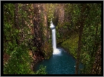 Stany Zjednoczone, Stan Oregon, Park Narodowy Jeziora Kraterowego, Wodospad, Toketee Falls, Skały, Roślinność