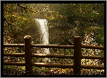 Stany Zjednoczone, Stan Oregon, Park Stanowy Silver Falls, Wodospad South Falls, Las, Płot