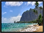 Stany Zjednoczone, Hawaje, Wyspa Oahu, Morze, Góra, Skała, Plaża, Palmy