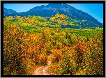 Stany Zjednoczone, Kolorado, Przełęcz, Kebler Pass, Góry, Sawatch Range, Drzewa, Lasy, Droga, Jesień