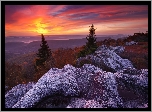 Stany Zjednoczone, Wirginia Zachodnia, Odbszar Dolly Sods Wilderness, Rezerwat przyrody Bear Rocks, Góry, Skały, Drzewa, Zachód słońca