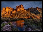 Stany Zjednoczone, Arizona, Góry, Goldfield Mountains, Rzeka, Salt River, Roślinność