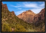 Stany Zjednoczone, Arizona, Tucson, Góry, Wąwóz, Sabino Canyon, Roślinność, Kaktusy