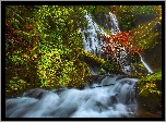 Stany Zjednoczone, Stan Waszyngton, Panther Creek Falls, Wodospad, Las, Rzeka, Drzewa, Miejsce chronione, Gifford Pinchot National Forest