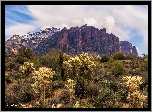 Stany Zjednoczone, Arizona, Góry, Superstition Mountains, Skały, Roślinność, Kaktusy