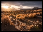 Stany Zjednoczone, Stan Nevada, Great Salt Lake Desert, Wielka Pustynia Słona, Wschód, Promienie słońca, Trawa