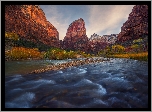 Stany Zjednoczone, Stan Utah, Park Narodowy Zion, Skały, Góry, Rzeka, Virgin River, Drzewa, Trawa, Jesień