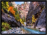 Stany Zjednoczone, Stan Utah, Park Narodowy Zion, Kanion Zion Narrows, Skały, Roślinność, Rzeka Virgin River